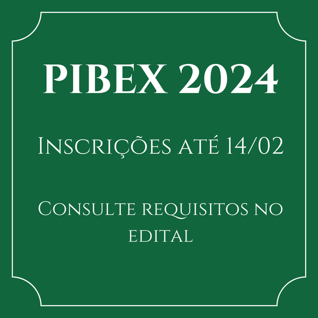 pibex2024.png