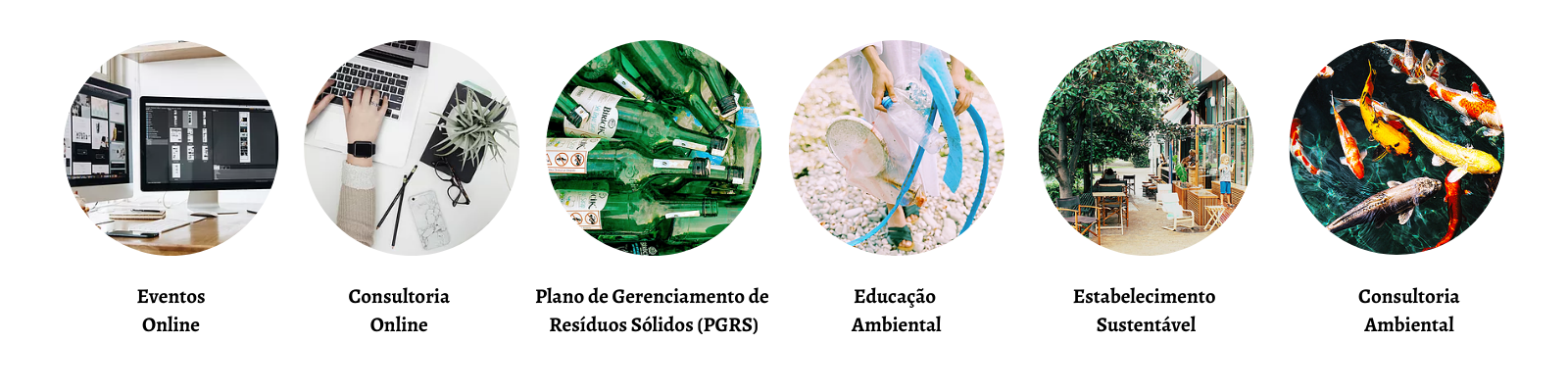 Os serviços oferecidos são: Eventos online, Consultoria online, Plano de Gerenciamento de Resíduos Sólidos, Educação Ambiental, Estabelecimento Sustentável e Consultoria Ambiental.