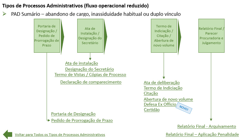 Processo administrativo disciplinar sumario